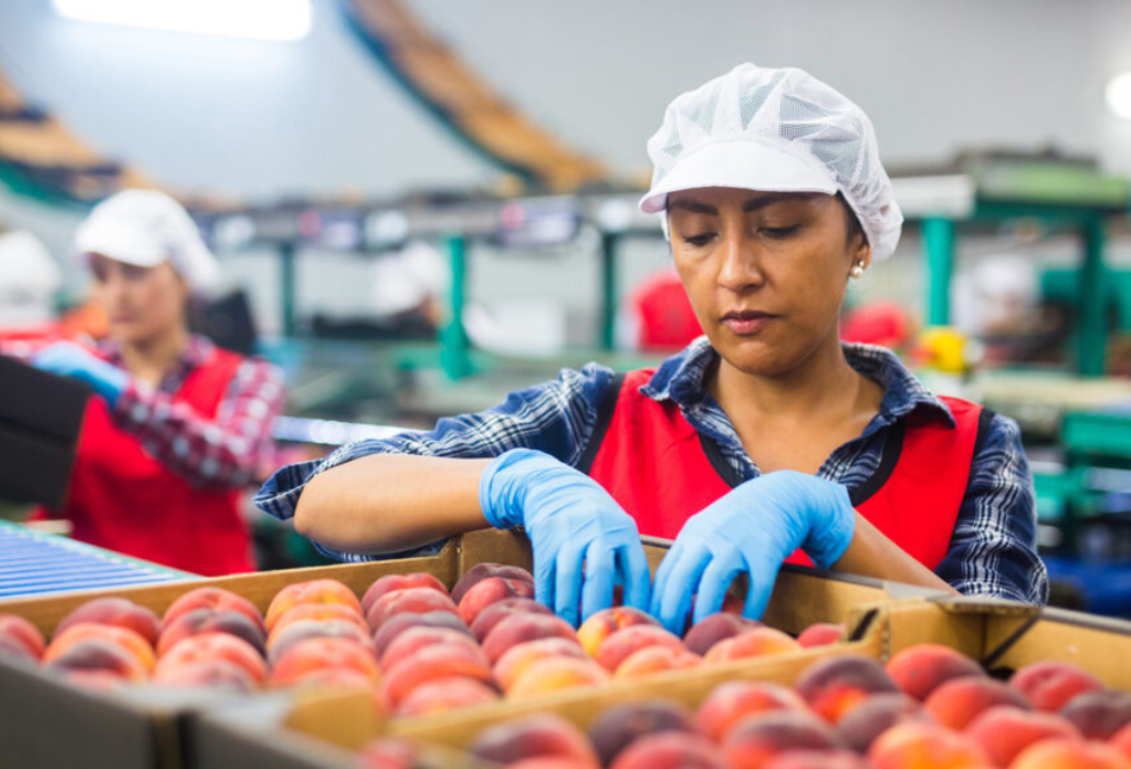 women sorting through fruit at the supermarket