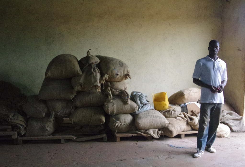 How ethical is your chocolate? Man standing in front of bags of cocoa beans