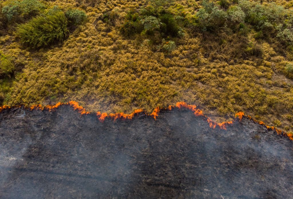 Image of burning amazon rainforest. Modern slavery and climate risks permeate public procurement.