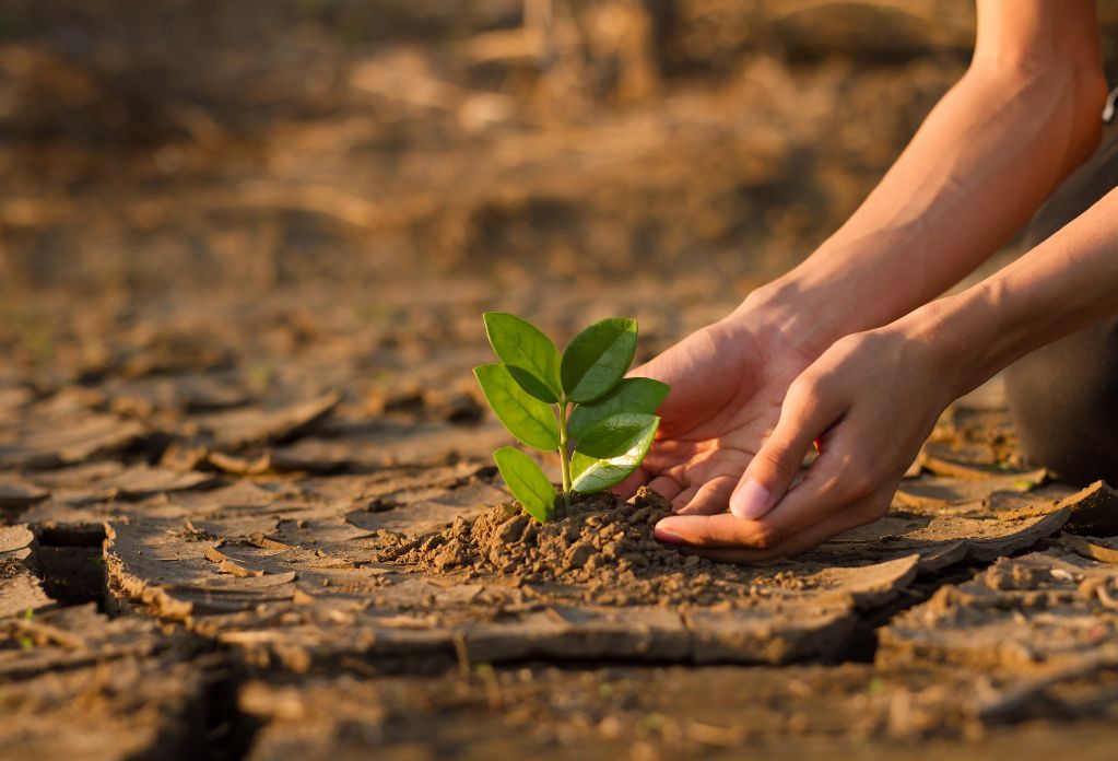 a person planting a seed to symbolise positive growth