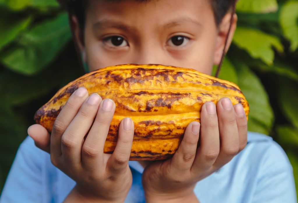 child holds a cacao pod