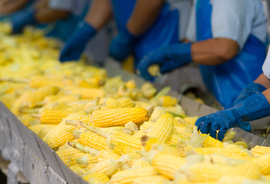 modern slavery in food processing